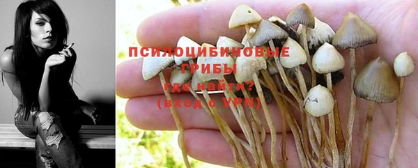 трава Бугульма