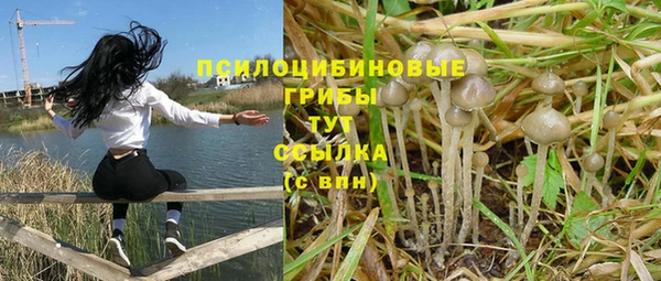 ECSTASY Бородино