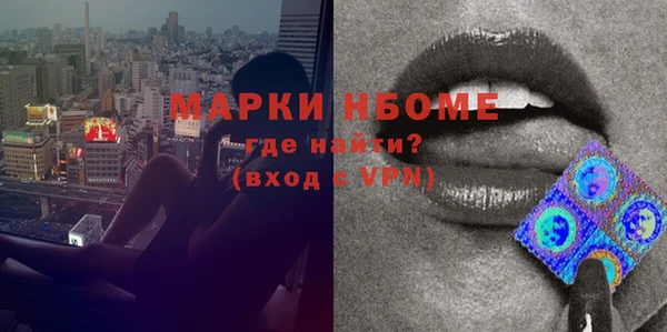 ECSTASY Бородино