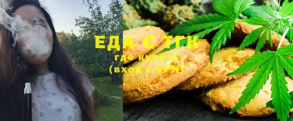 ECSTASY Бородино