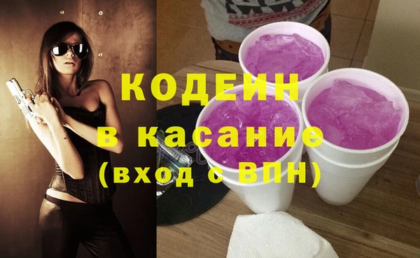 ECSTASY Бородино