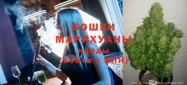 ECSTASY Бородино