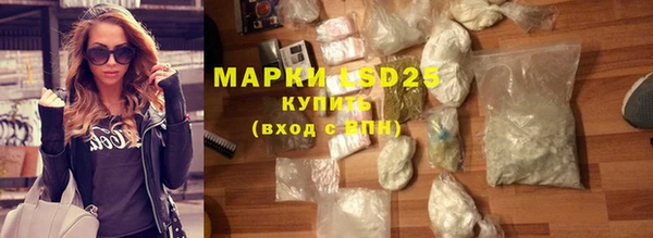 ECSTASY Бородино