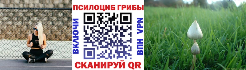 Галлюциногенные грибы мухоморы  наркотики  Миллерово 